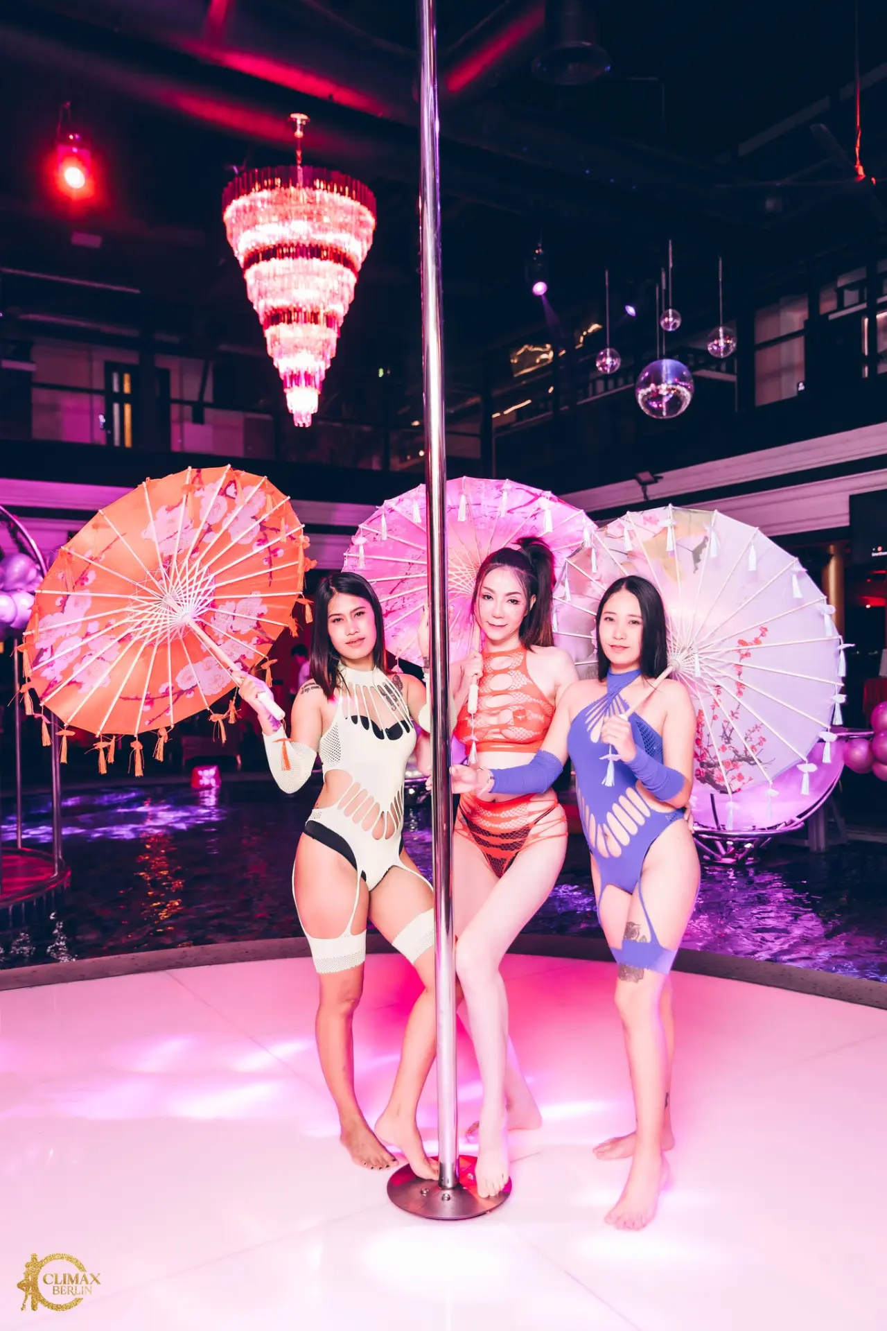 Live Shows - Image 10